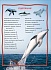 Книга из серии 100 фактов – Киты и дельфины  - миниатюра №1